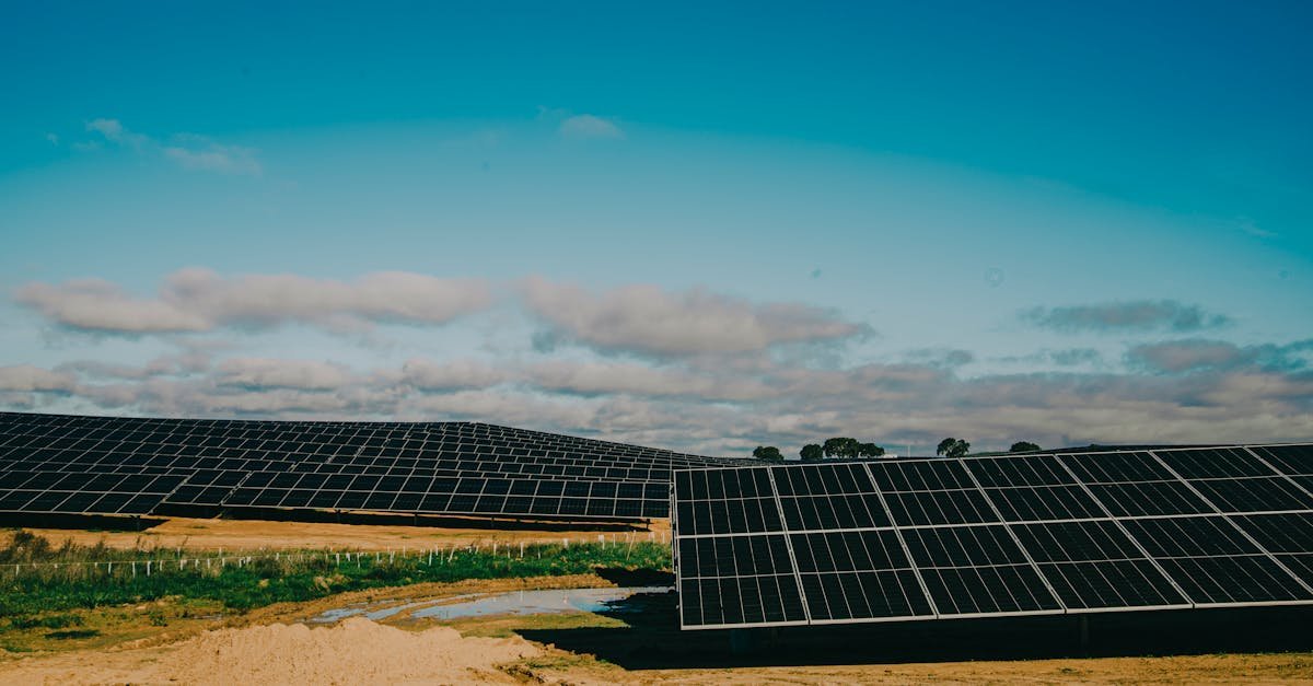 location de terrains agricoles pour l'installation de panneaux solaires : optimisez vos terres en générant des revenus durables grâce à l'énergie solaire.