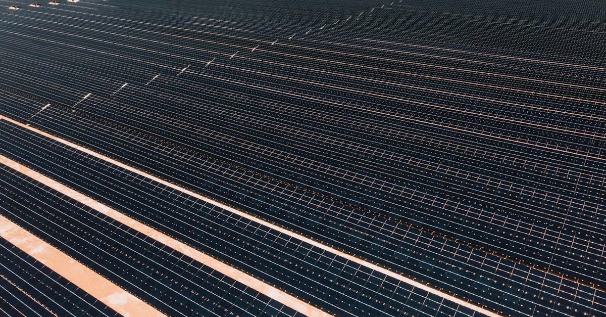 découvrez l'agrivoltaïque, une solution innovante combinant agriculture et production solaire pour optimiser l'utilisation des terres et promouvoir un développement durable.