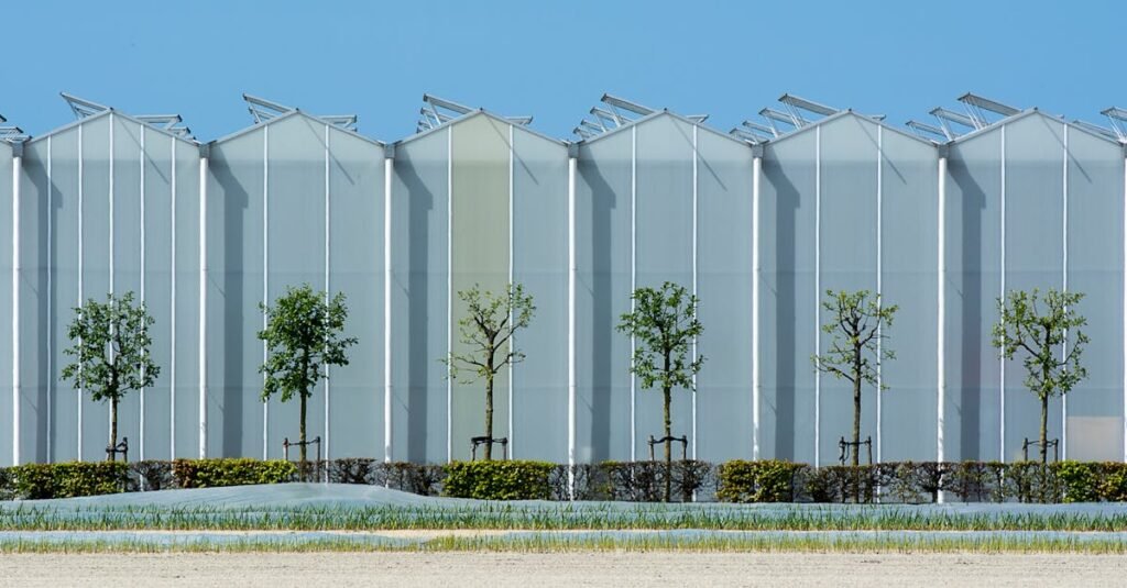 découvrez l'agrivoltaïque, une solution innovante combinant production agricole et d'énergie solaire pour un développement durable et une optimisation des ressources.