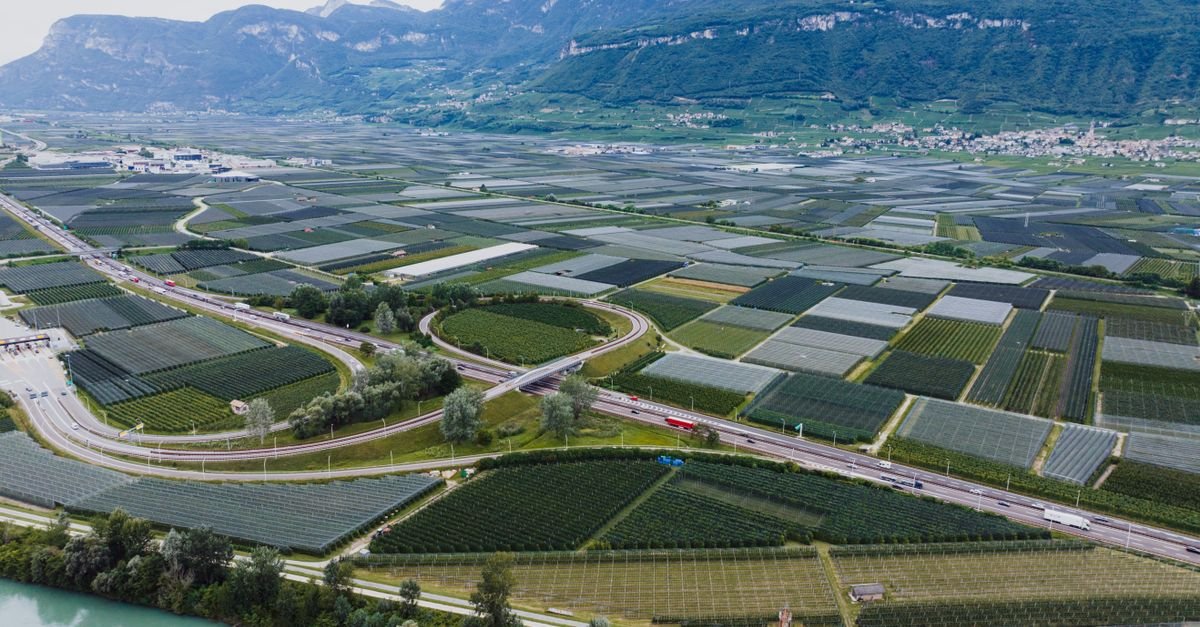 découvrez l'agrivoltaïque, une solution innovante combinant agriculture et production d'énergie solaire pour un avenir durable et respectueux de l'environnement.