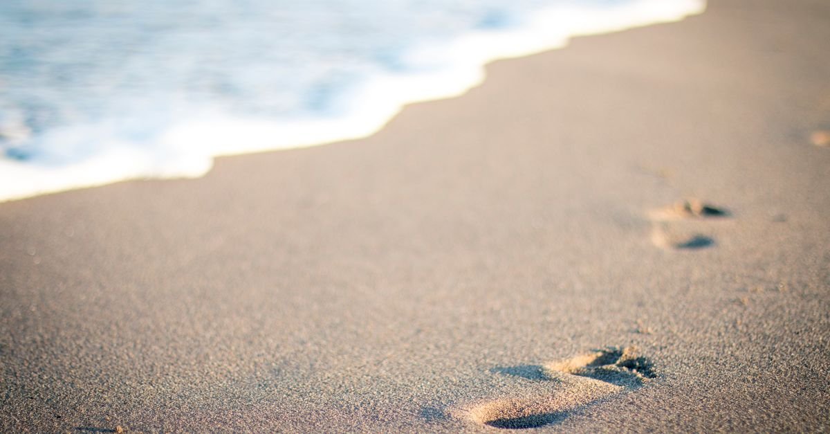découvrez ce qu'est l'empreinte écologique, son impact sur l'environnement et comment réduire votre consommation pour un mode de vie durable.