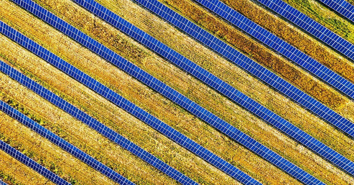 découvrez la rentabilité des panneaux solaires et comment optimiser vos économies d'énergie tout en réduisant votre impact environnemental.